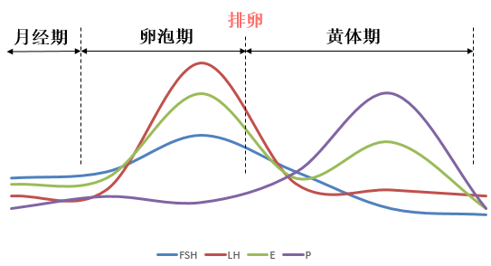 想要“唤醒卵巢”，用这4个方法就对了！