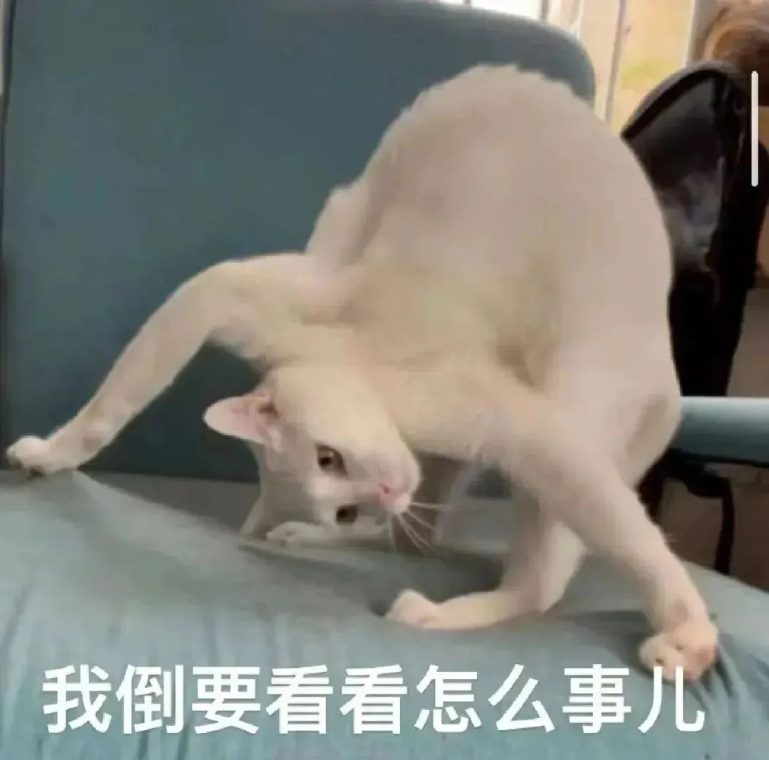 从卵子到胚胎：时间为何成为染色体异常的“催化剂”？