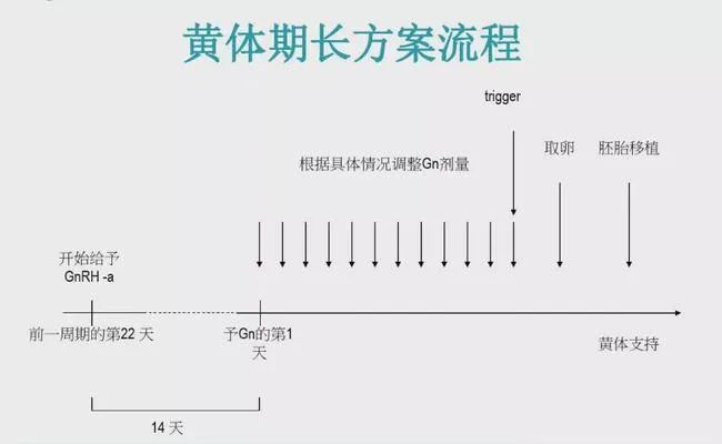 最全试管促排方案合集，哪种适合你？