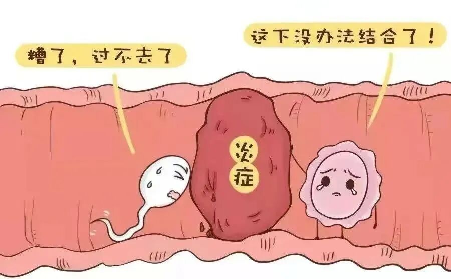 想怀孕，为什么医生却建议我切除输卵管？