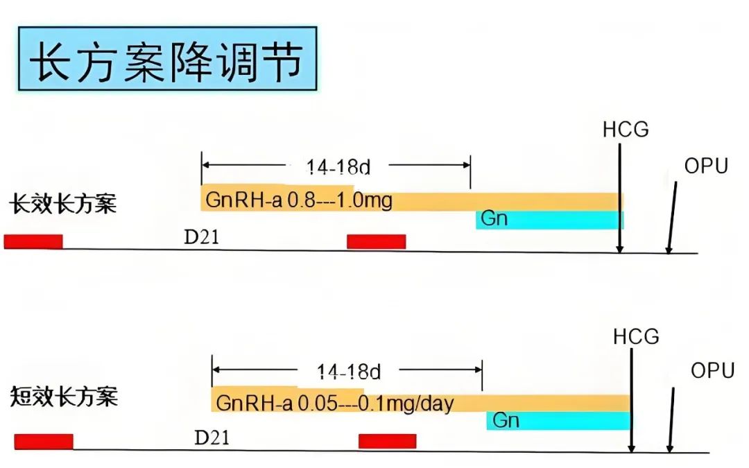 最全试管促排方案合集，哪种适合你？