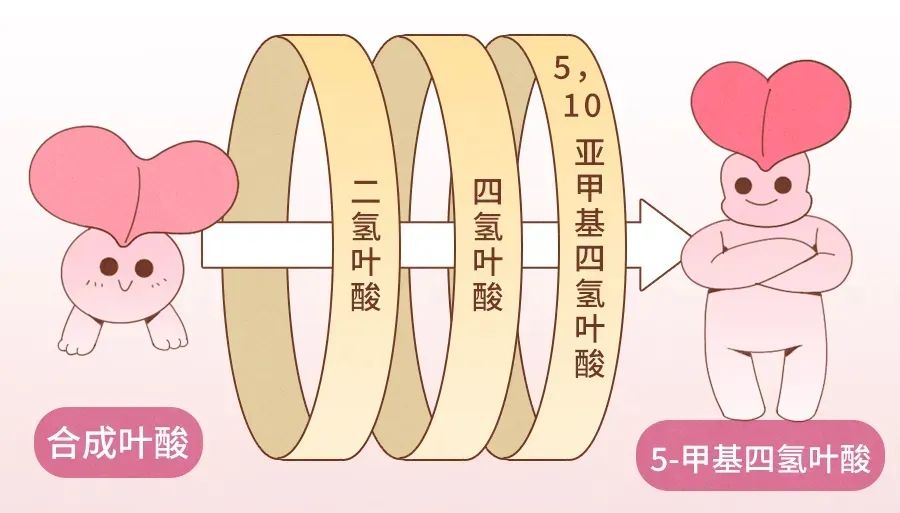 不搞清这些问题，劝你别随便补充叶酸！