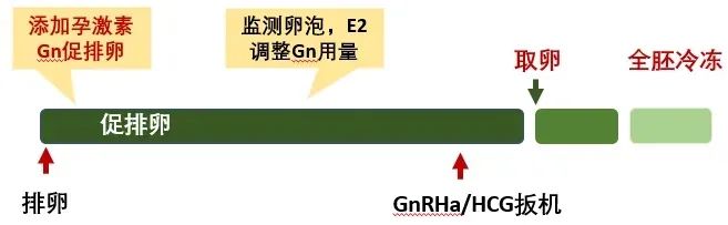最全试管促排方案合集，哪种适合你？