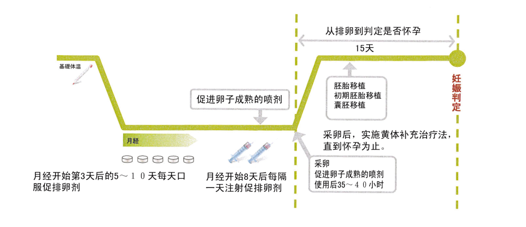 最全试管促排方案合集，哪种适合你？