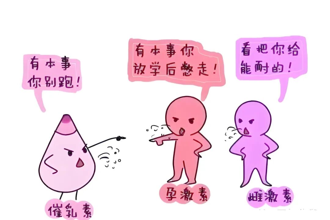 排卵期同房也怀不上？答案藏在这三个细节里~