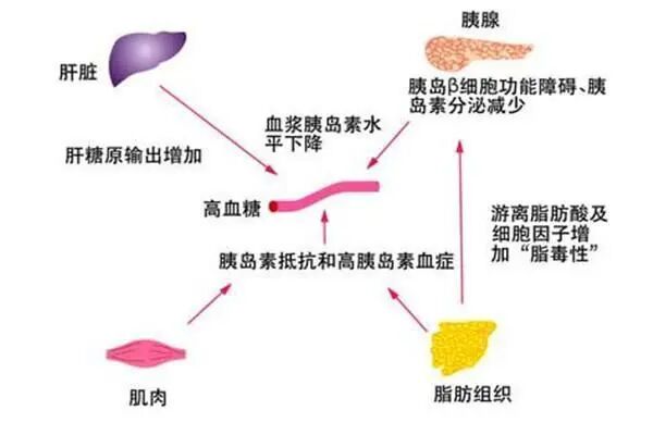 除了免疫，这个因素也是引起胎停的“真凶”！