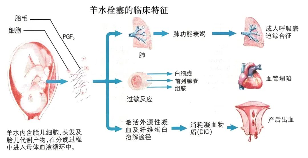 早生or晚生该怎么选？看完这篇不纠结！