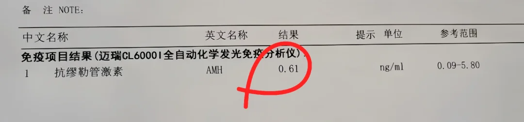 AMH数值低怎么办？试试这4个办法