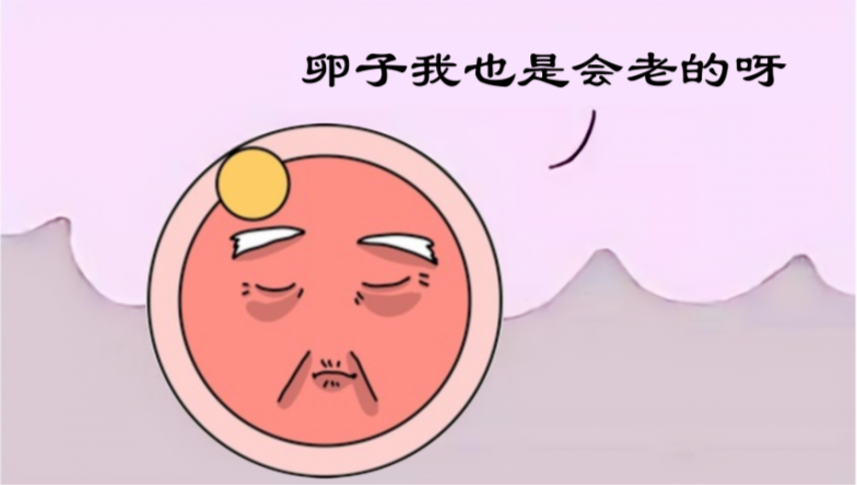 “很想要一个孩子”，陈紫函自曝3年做12次试管！