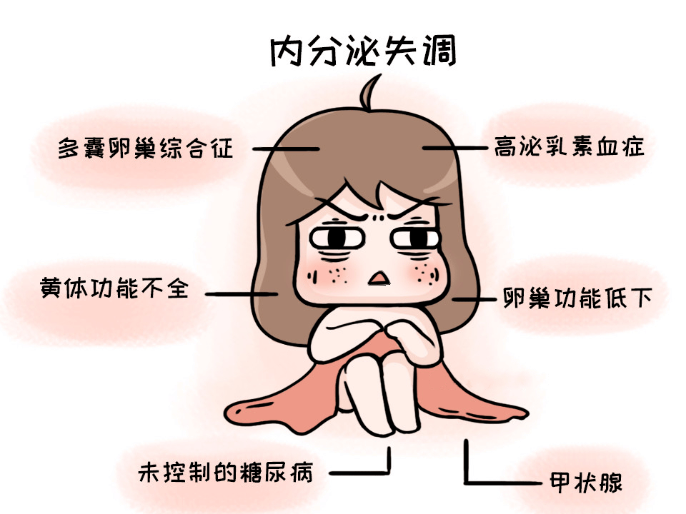 真相解读：你的胚胎为何止步于囊胚前？