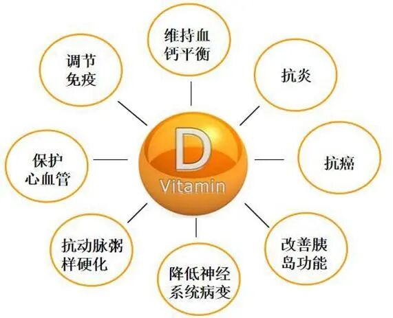 越补越缺？揭开维生素D的“双面人生”！