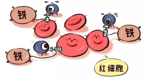 助您高效抱娃！这9种营养素一定要补足