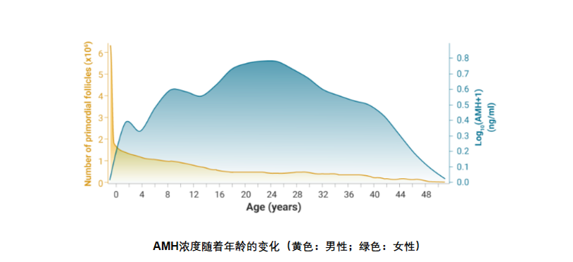 AMH数值低怎么办？试试这4个办法
