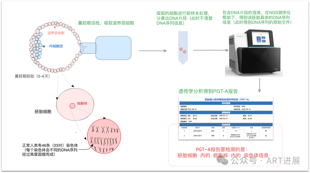 囊胚优不优质，PGT检测报告来揭秘！