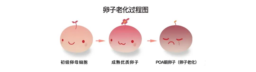 熬夜伤身更伤“孕”，小心不孕不育找上你！