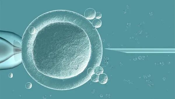 久备不孕？也许是输卵管在“悄悄”堵塞