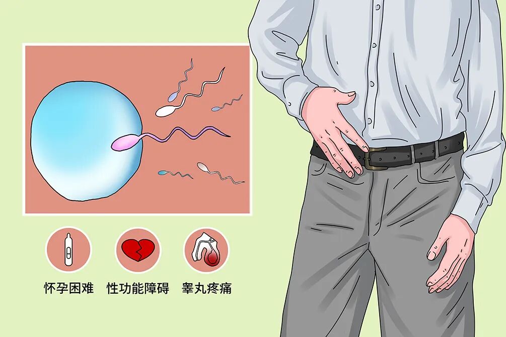 备孕总失败？可能是“小蝌蚪”不给力！