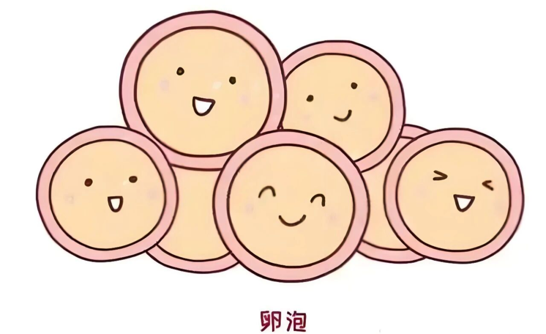 卵泡早发，无卵可用？教你3招自救法！