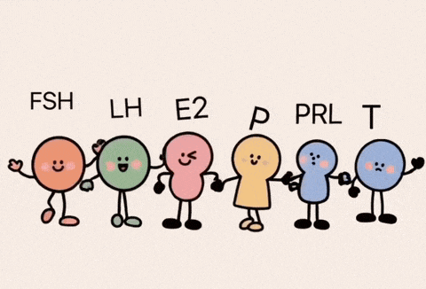 查性激素六项不知道这几个关键点，小心白跑一趟！