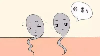 熬夜伤身更伤“孕”，小心不孕不育找上你！