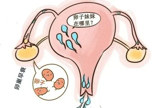 熬夜伤身更伤“孕”，小心不孕不育找上你！