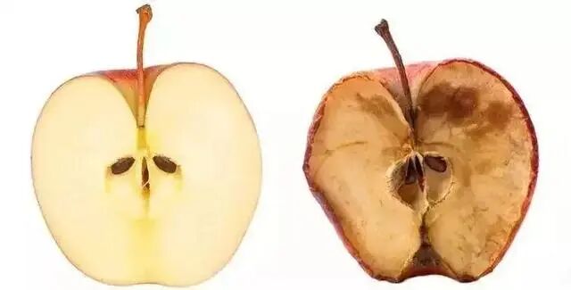 这五类营养齐上阵，卵巢年轻又健康！