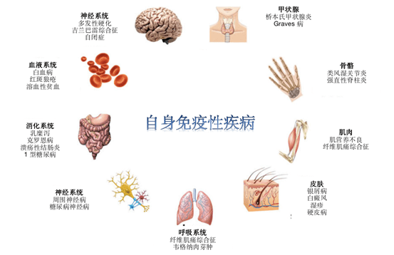 夫妻染色体正常，为何胚胎染色体异常？