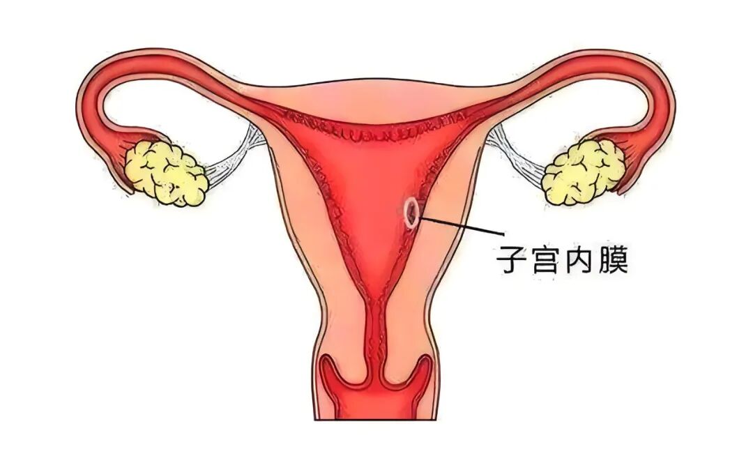 除了免疫，这个因素也是引起胎停的“真凶”！