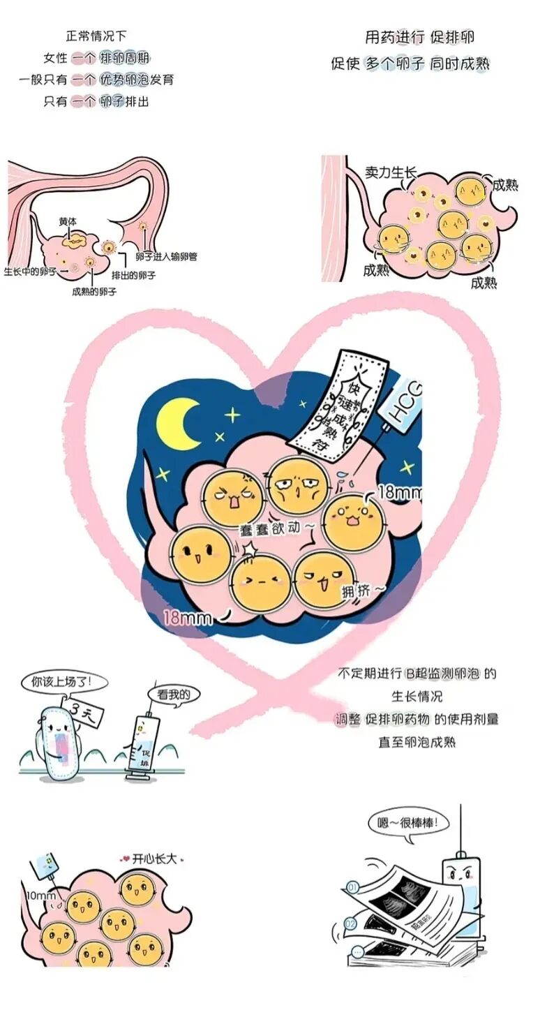 打促排针，会使我变丑变胖吗？