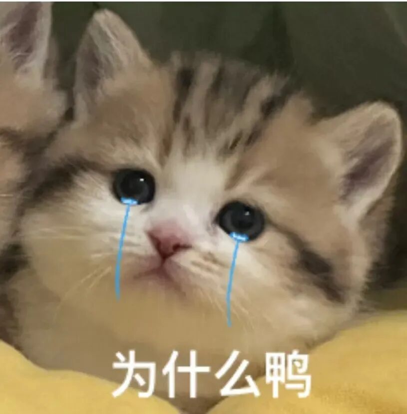 排卵期同房也怀不上？答案藏在这三个细节里~