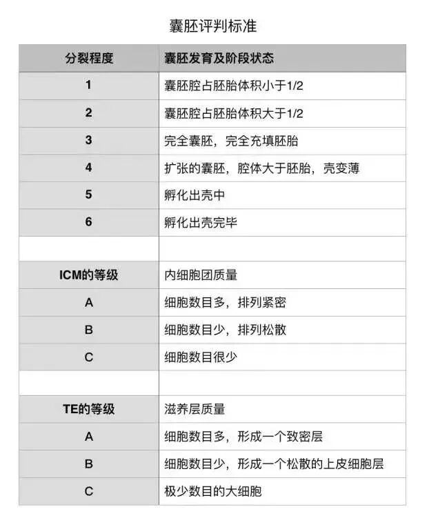 AA≠终极王者？是时候重新认识胚胎评分了…​"