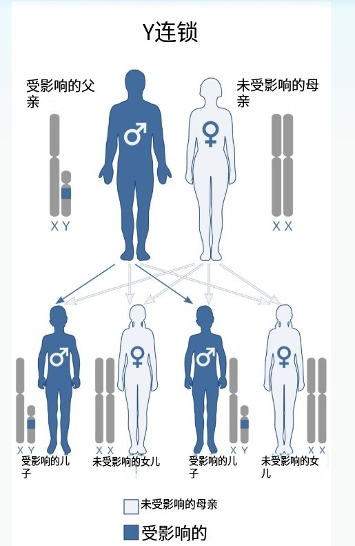 一文读懂AD、AR、XLR、XLD、Y染色体遗传分别是什么！