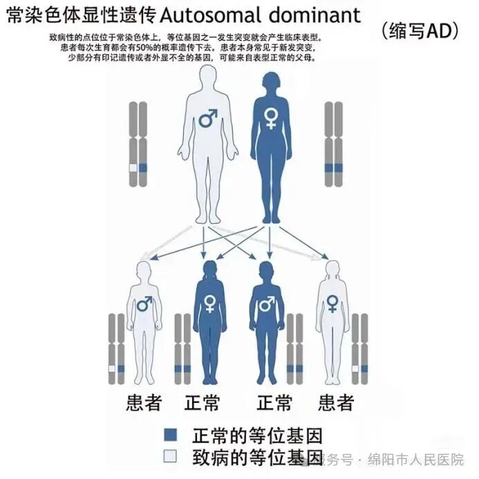 一文读懂AD、AR、XLR、XLD、Y染色体遗传分别是什么！