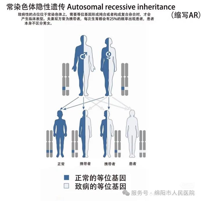 一文读懂AD、AR、XLR、XLD、Y染色体遗传分别是什么！