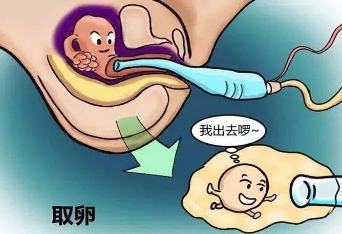 取卵不理想怎么办？关于促排，看这一篇就够了