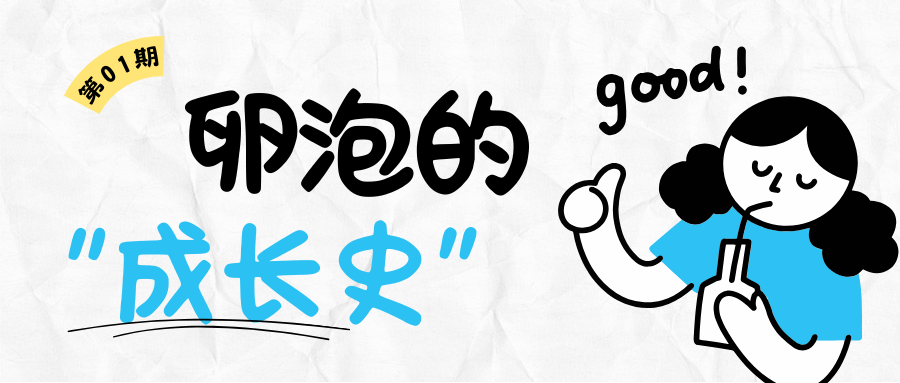 想知道胚胎发育潜能?答案藏在孕前这 90 天里