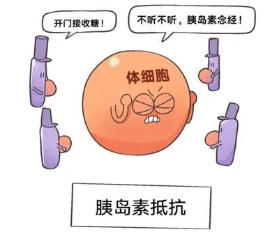 遭遇“胎停”后,需要检查哪些项目?