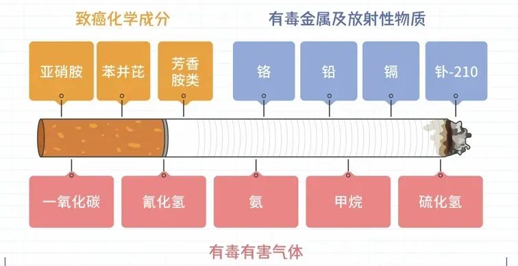 不孕率降低70%!做好这6件事,把握“黄金生育力”