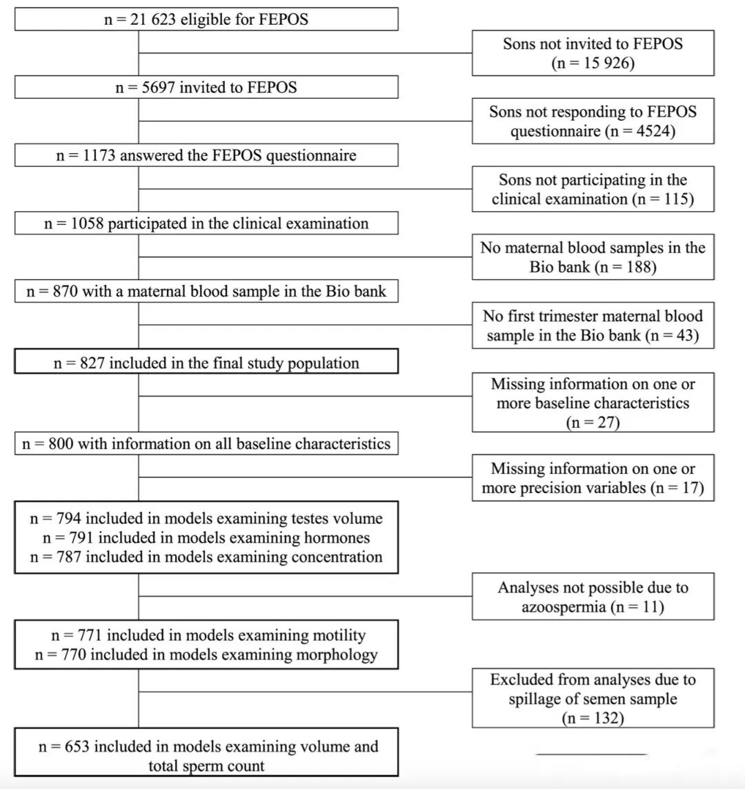 孕期缺少这种营养,子代男性生育隐患增加 60%!